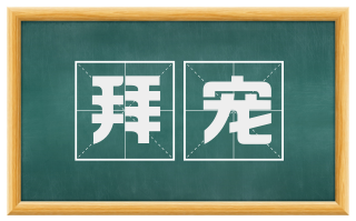 拜宠