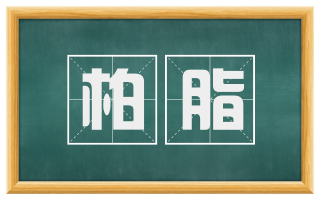 柏脂