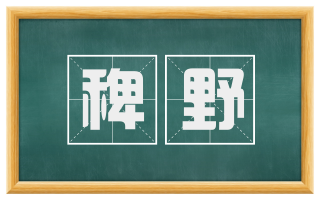 稗野