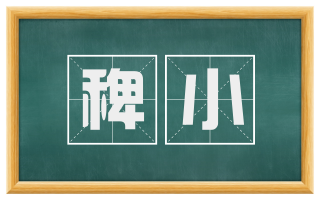 稗小
