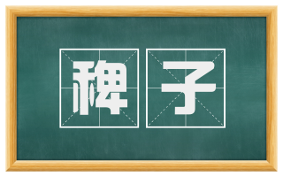 稗子