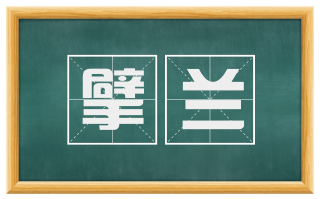 擘兰