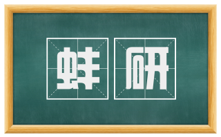 蚌研