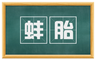 蚌胎