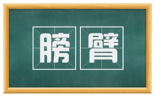 膀臂