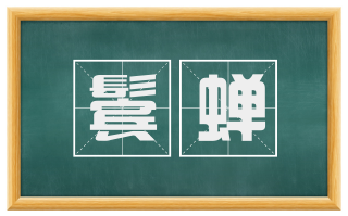 鬓蝉