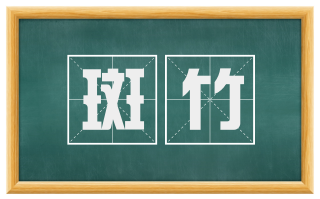 斑竹