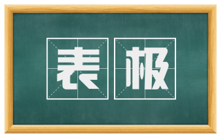表极