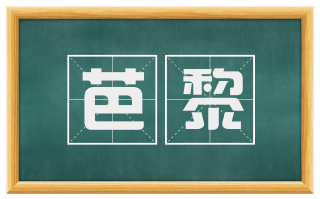 芭黎