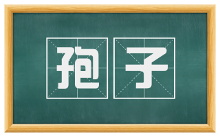 孢子