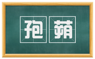 孢蒴