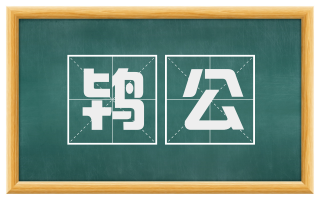 鸨公