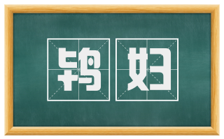 鸨妇