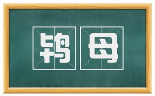 鸨母