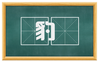 豹褎