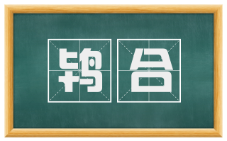 鸨合