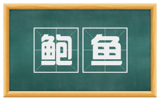 鲍鱼