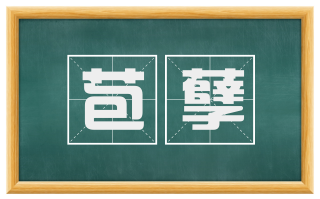 苞孽