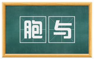 胞与
