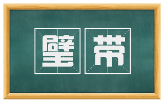 璧带