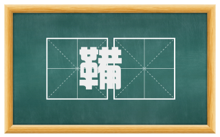 鞴靫