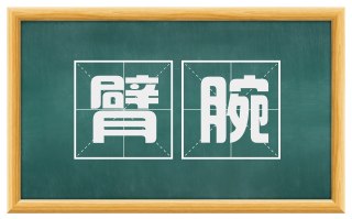 臂腕