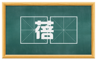 蓓藟