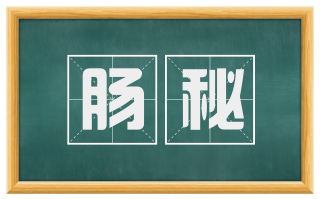 肠秘