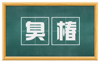 臭椿
