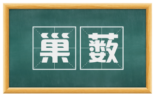 巢薮