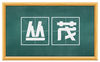 丛茂