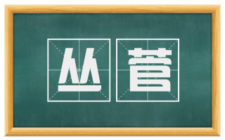 丛菅