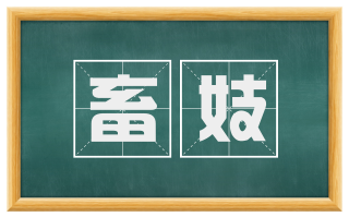 畜妓