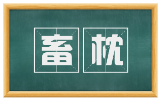畜枕