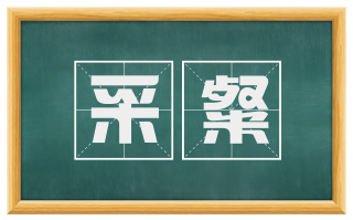 采粲