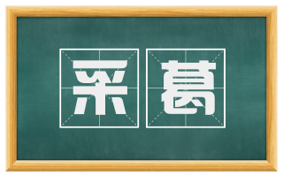采葛