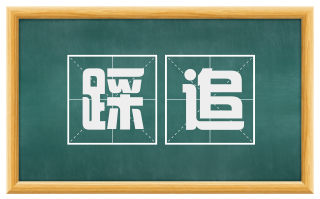 踩追