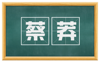 蔡莽