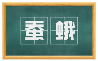 蚕蛾