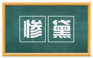 惨黛