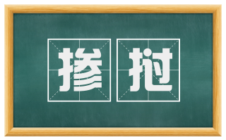 掺挝