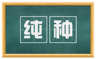 纯种
