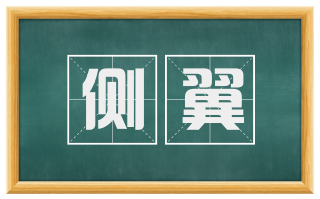 侧翼