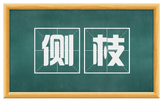侧枝