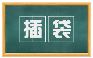 插袋