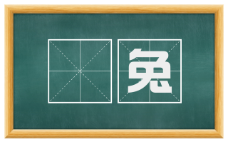 毚兔