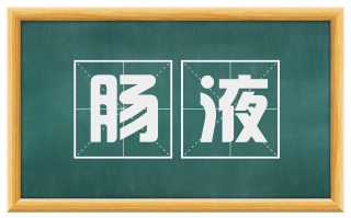 肠液
