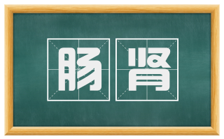 肠肾
