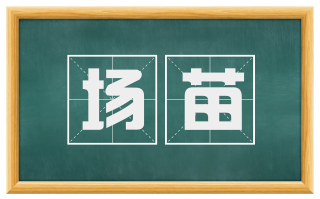 场苗