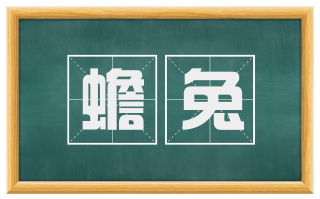 蟾兔
